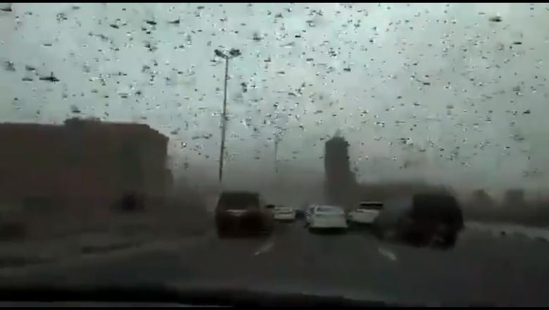 Video Imagini apocaliptice în Bahrain. Lăcustele au invadat cerul şi au transformat ziua în noapte