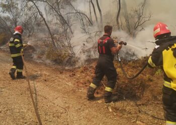 Pompierii români din Grecia, în mijlocului unui scandal uriaș generat de un fake news