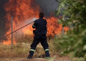 Incendiu Evia: Agia Anna și alte două așezări sunt evacuate (VIDEO)