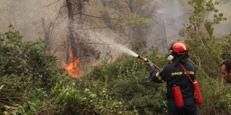 Incendiile din insula grecească Evia, pe cale „să fie stăpânite”, spune un primar. „Am văzut lumina soarelui”