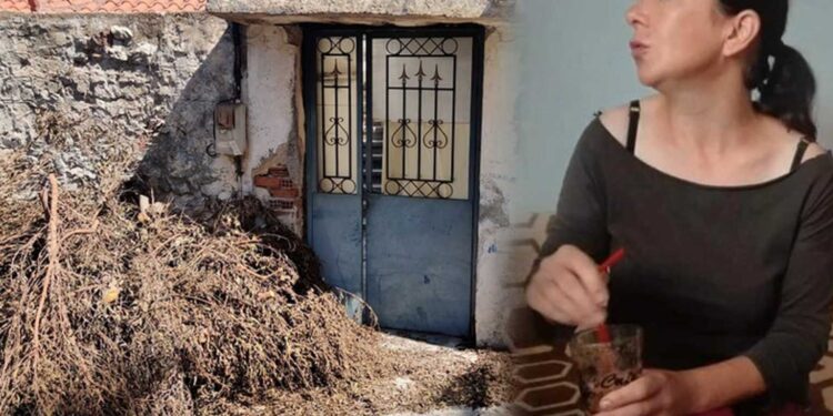 Grecia: Românul care a fost acuzat că și-a ucis partenera, în Kyparissia, a fost găsit mort în închisoarea din Nafplio