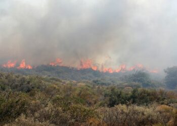 Incendiu la Amfissa: Fronturi de incendiu necontrolate ameninta padurea din Parnassos – Mesaj de la 112 pentru Itea