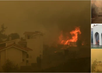 Incendiu la Penteli: Ore dramatice pentru Drafi – Flăcările au ajuns la primele case (VIDEO)