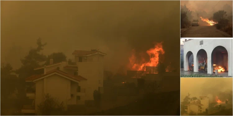 Incendiu la Penteli: Ore dramatice pentru Drafi – Flăcările au ajuns la primele case (VIDEO)