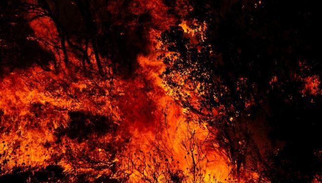 Iadul de foc din Attica – Imagini înfiorătoare de la incendiul din Parnitha