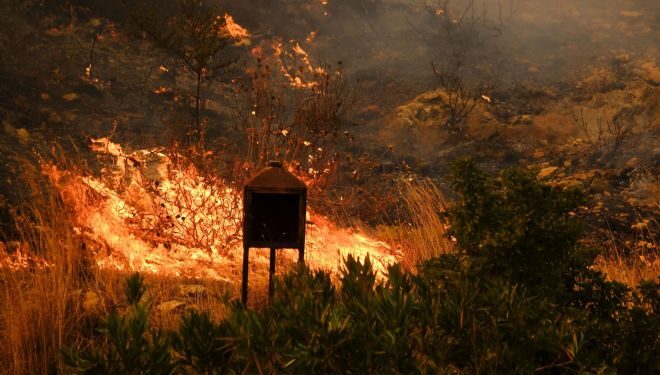 Iadul de foc din Attica – Imagini înfiorătoare de la incendiul din Parnitha