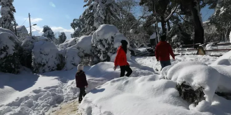 Imagini impresionante din Pertouli înzăpezit – Unde este nevoie de lanțuri antiderapante în Macedonia de Vest