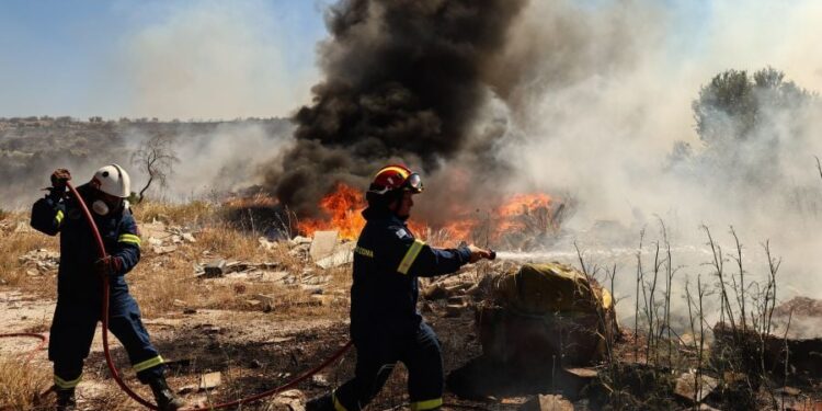 Incendiu în zona Vari