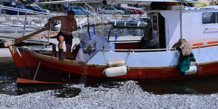 Pești morți în Magnesia