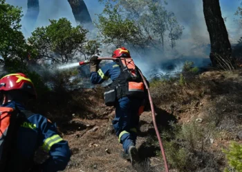 Incendiu în Attica: (video) Mănăstirea Sfântului Efrem din Nea Makri salvată în ultima clipă – Mărturia unui credincios și apelul la rugăciune