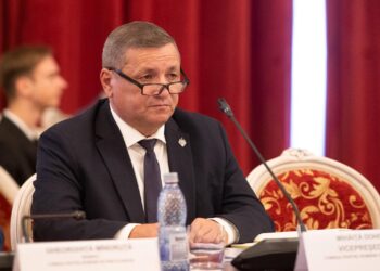 Proiect Legislativ pentru Românii din Străinătate